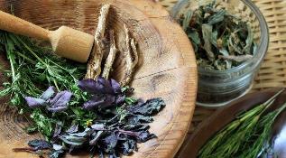 remedios populares para a prostatite